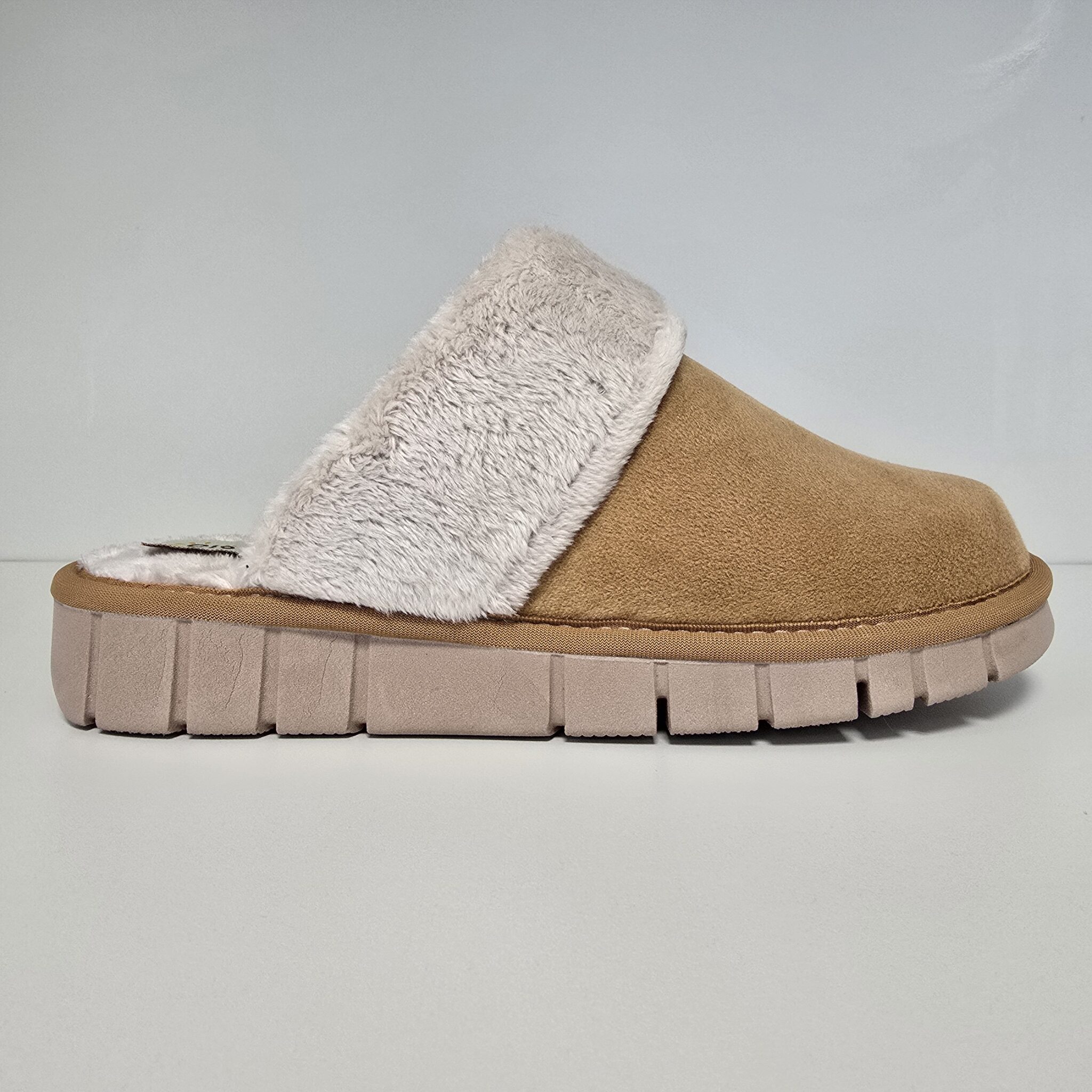 1b-rs54453-camel